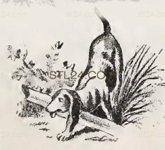 ANIMAL_0141